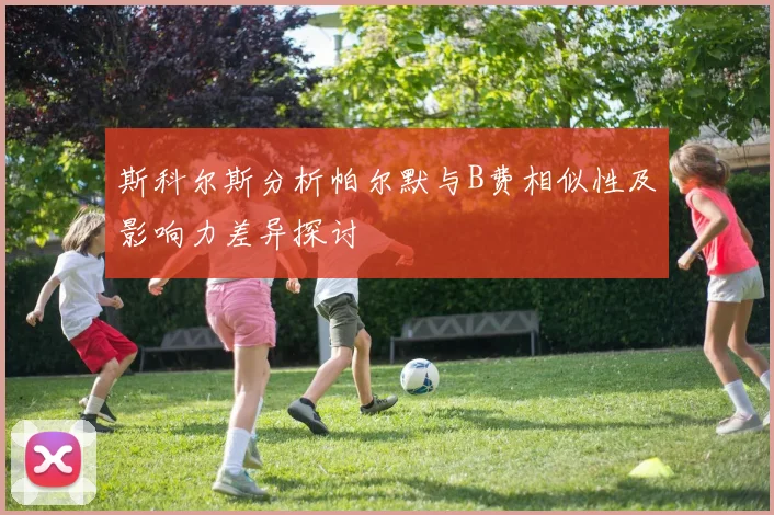 斯科尔斯分析帕尔默与B费相似性及影响力差异探讨