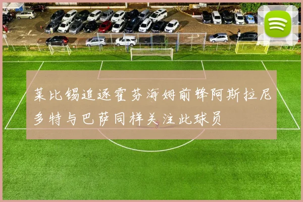 莱比锡追逐霍芬海姆前锋阿斯拉尼多特与巴萨同样关注此球员